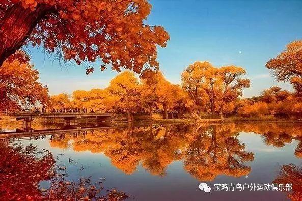 会隐身的“年三十”