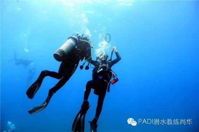 泡泡升空记8
